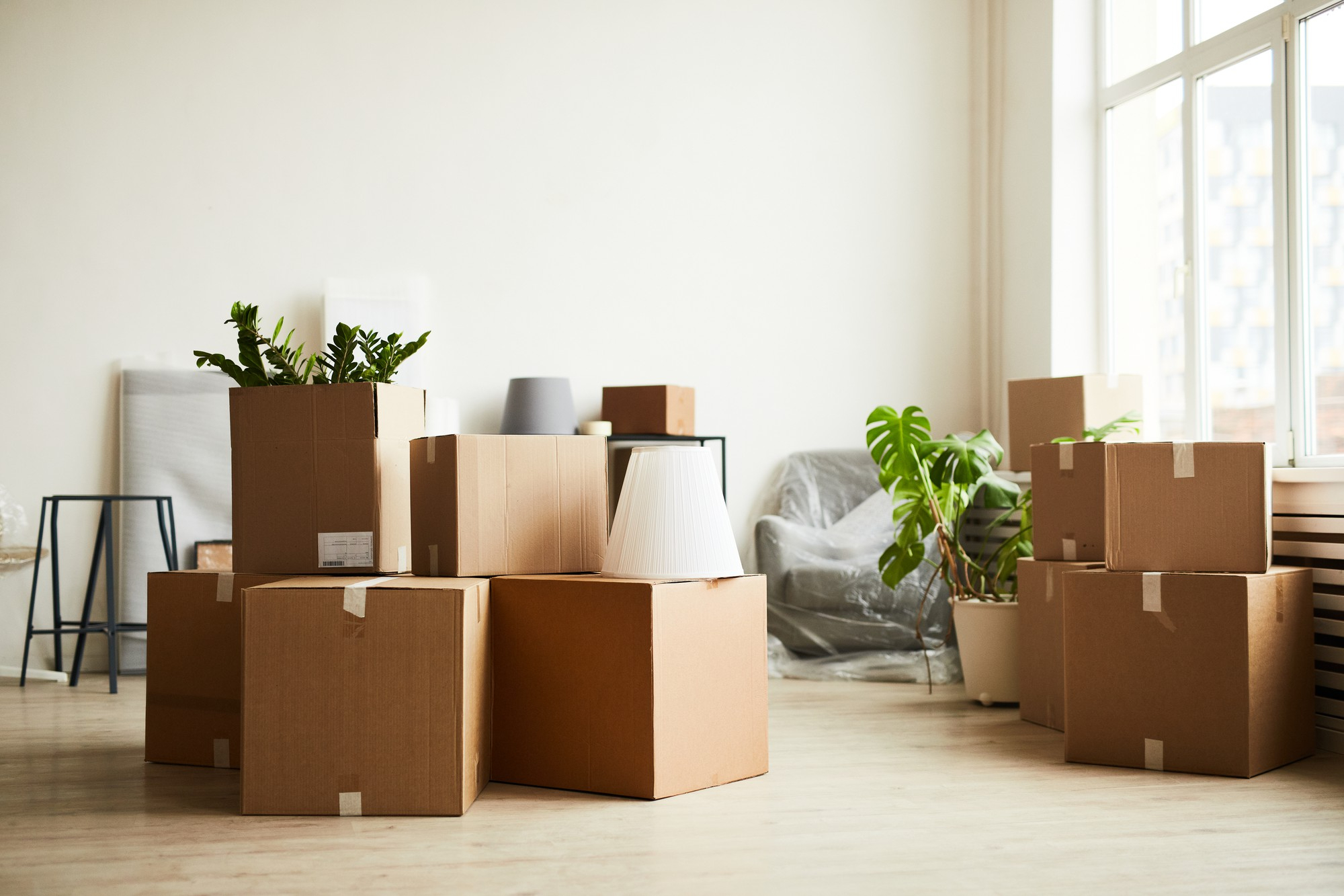 Office moving service inner image showing movers carrying boxes in office – Easy Best Move